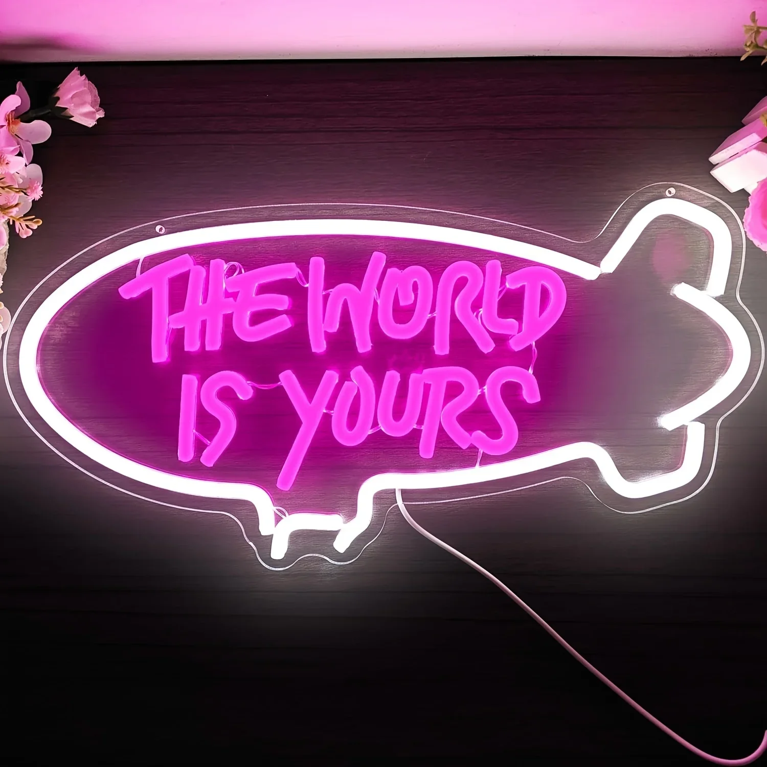 The World Is Yours Blimp Neon- – Outdoor Lighting For Your Home Bewertung und Preis