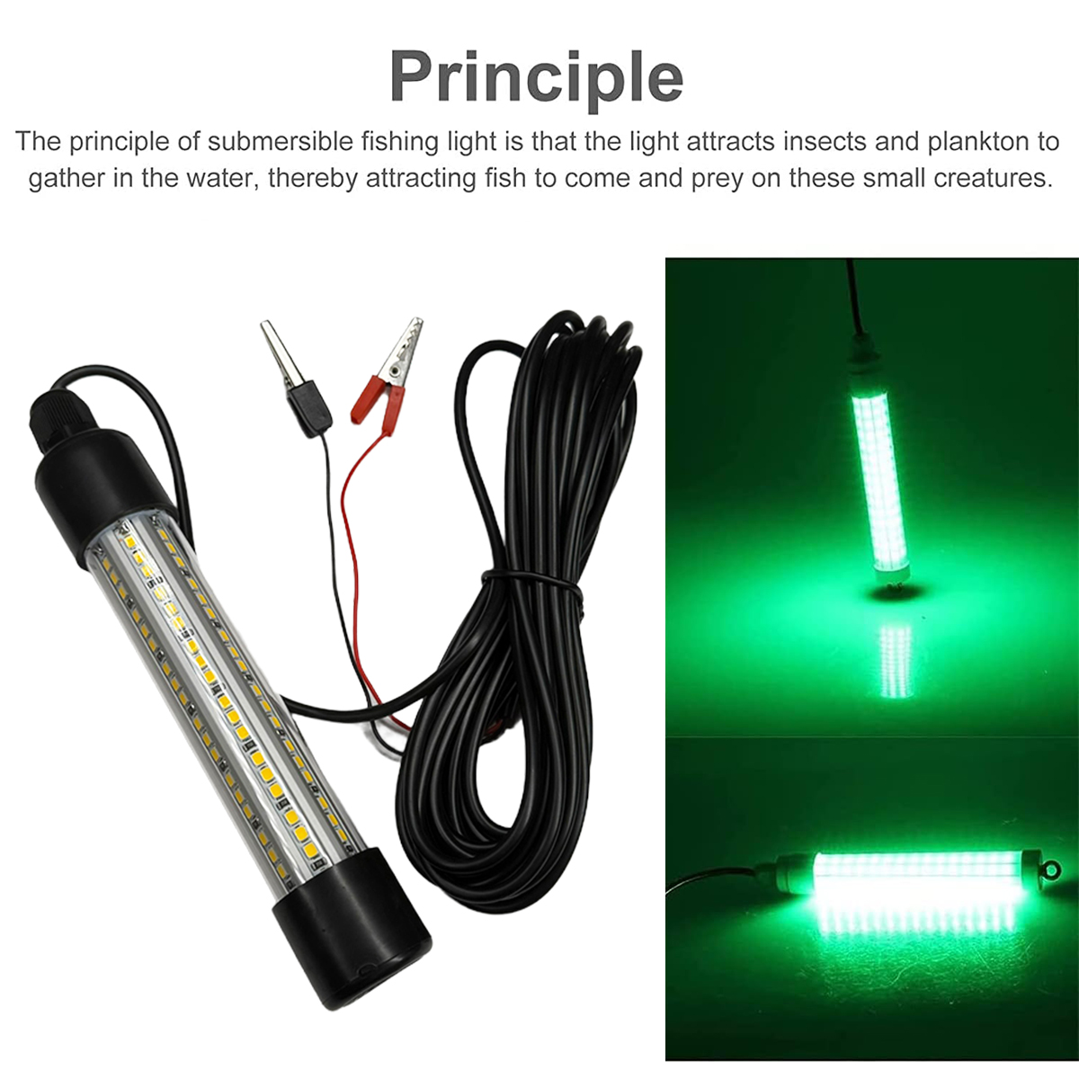 LED Unterwasser Angellicht Fis – Pond Light Submersible Bewertung und Preis